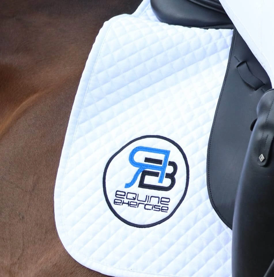 RB Equine Exercise logo - GoDaddy website made by ScaleUp Devs
