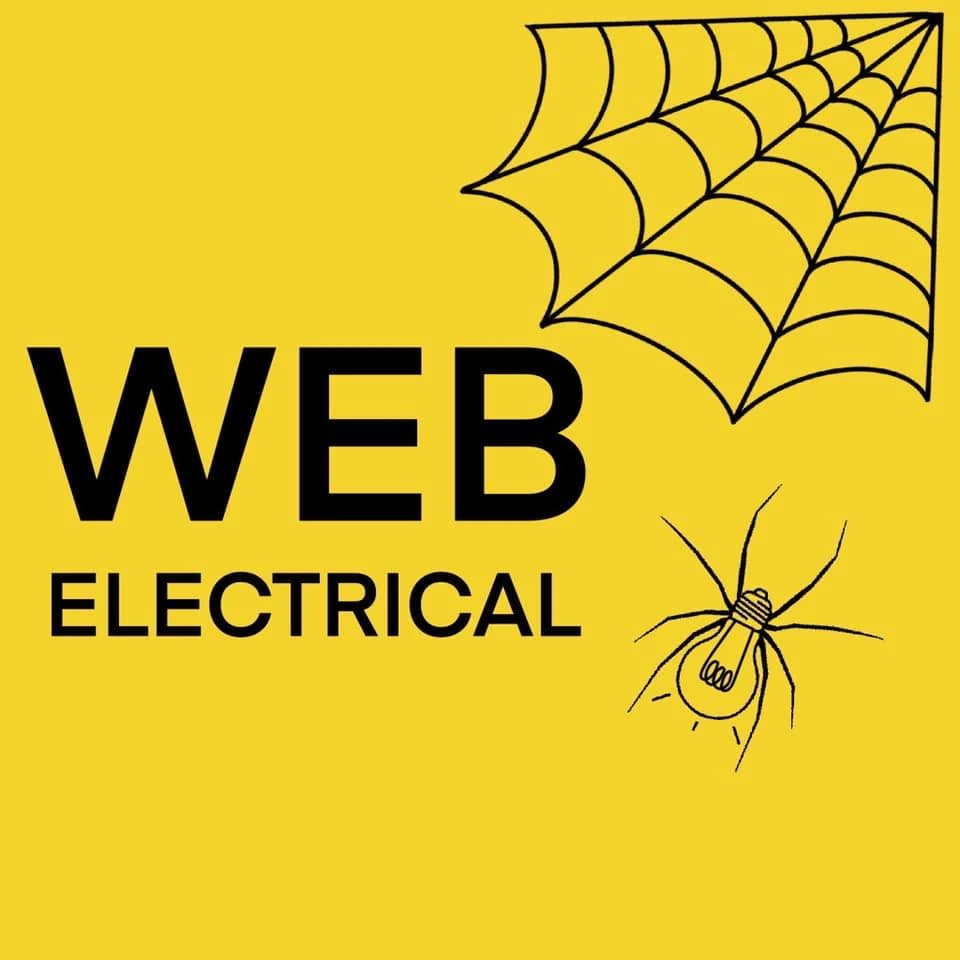 Web Electrical logo - Custom developed website development project